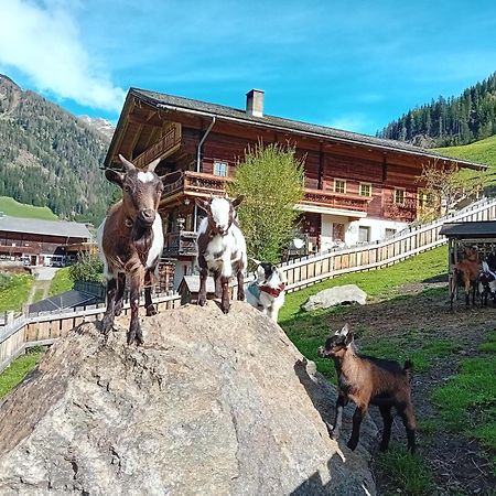 Ferienhaus Egger Innervillgraten Extérieur photo