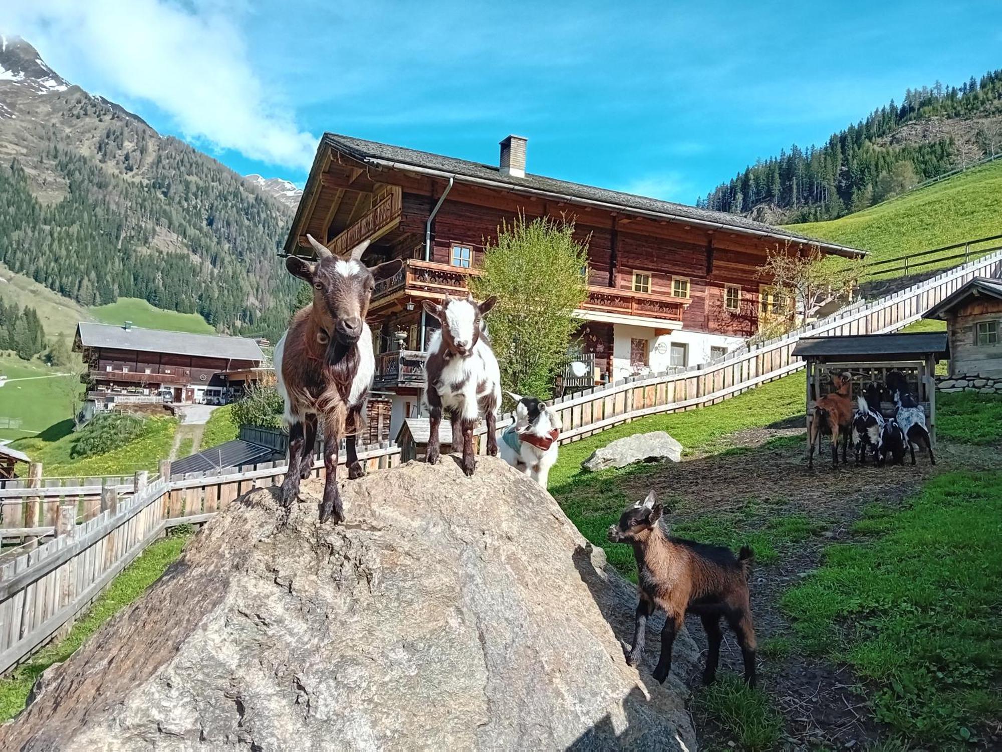 Ferienhaus Egger Innervillgraten Extérieur photo